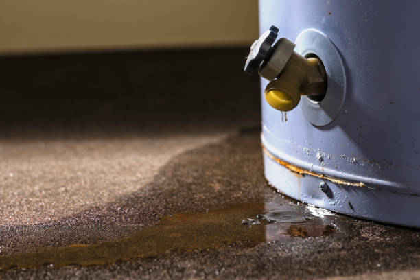 Best Flood damage cleanup  in Edgeworth, PA