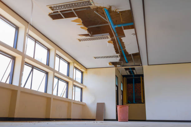 Best 24-hour water damage restoration  in Edgeworth, PA