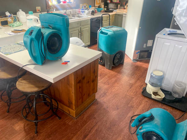 Best Water damage restoration services  in Edgeworth, PA