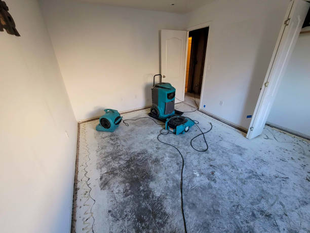 Best Water damage cleanup near me  in Edgeworth, PA