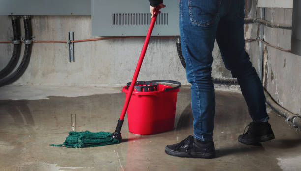 Best Mold removal after water damage  in Edgeworth, PA