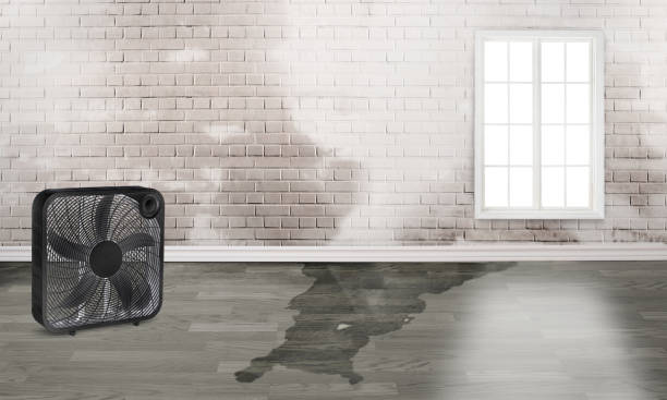 Best Residential water damage restoration  in Edgeworth, PA