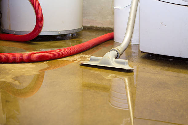Best Fire Damage Restoration  in Edgeworth, PA