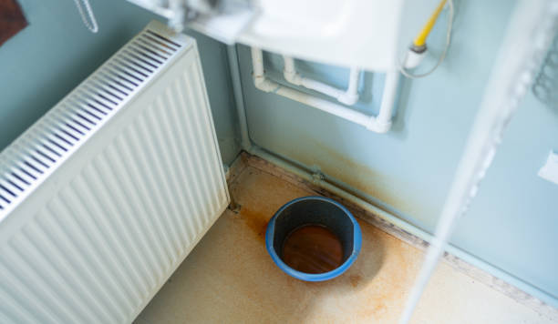 Best Water damage mitigation services  in Edgeworth, PA