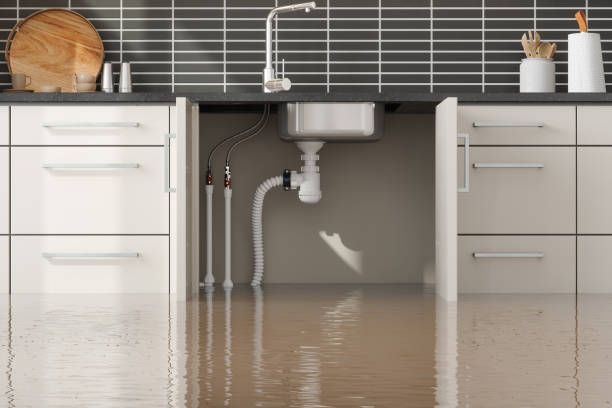 Best Professional water damage repair  in Edgeworth, PA
