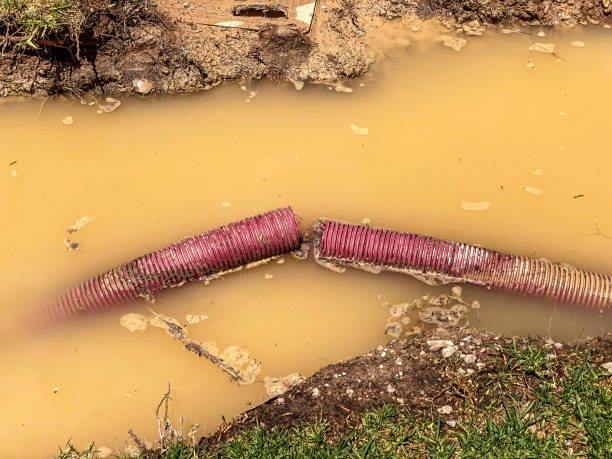 Best 24/7 water damage repair  in Edgeworth, PA