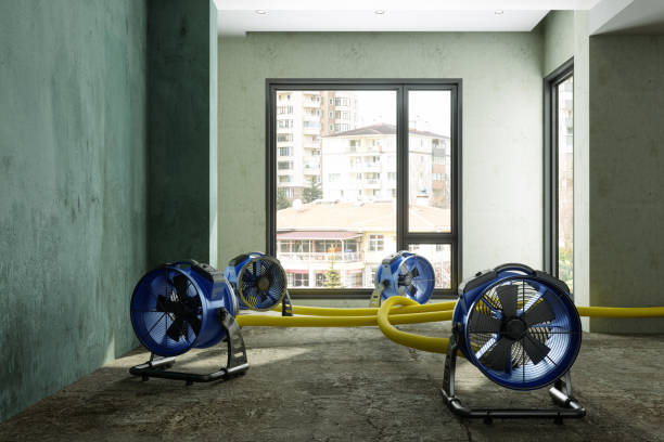 Best Ceiling water damage repair  in Edgeworth, PA