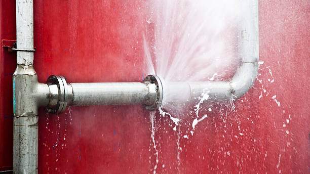 Best Commercial water damage restoration  in Edgeworth, PA